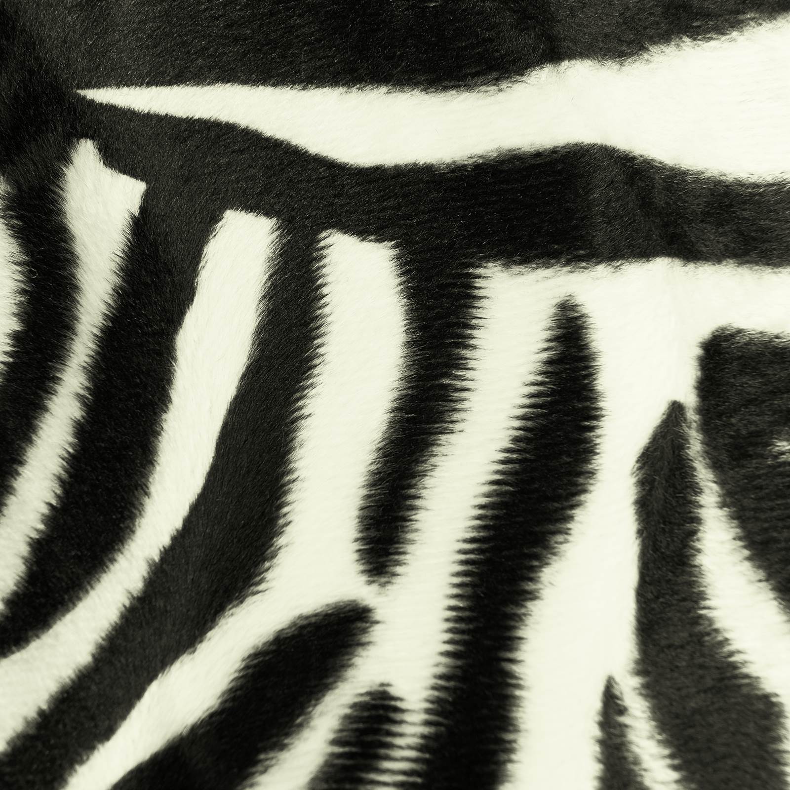 Zebra Webfell (10 cm Schritte)